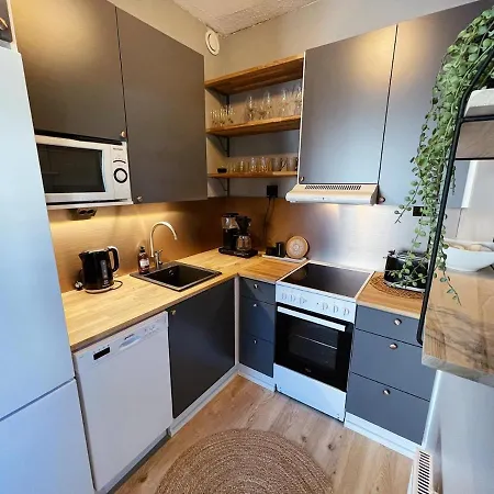 Sanctus Nicolaus With Sauna 罗瓦涅米