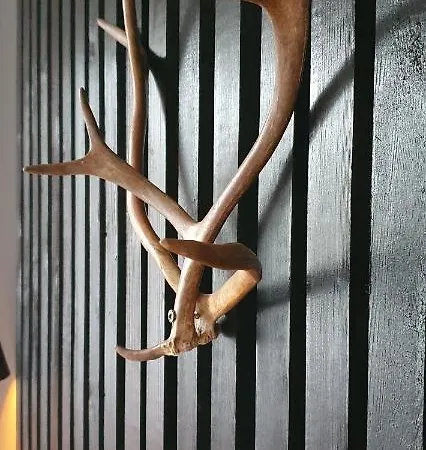 Sanctus Nicolaus With Sauna Apartment Rovaniemi