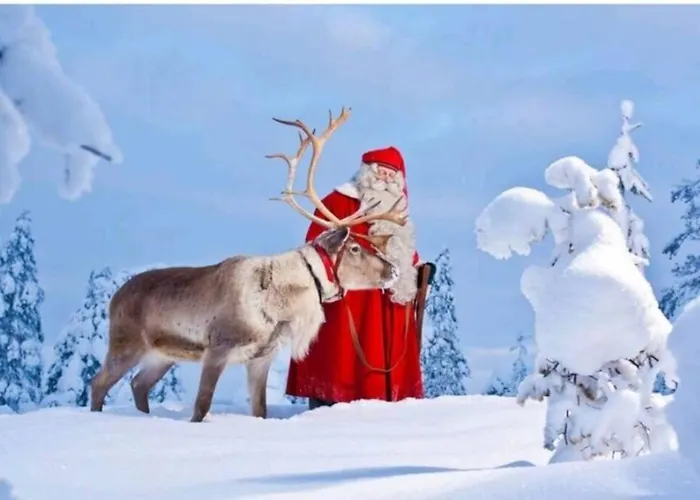 Sanctus Nicolaus With Sauna Rovaniemi