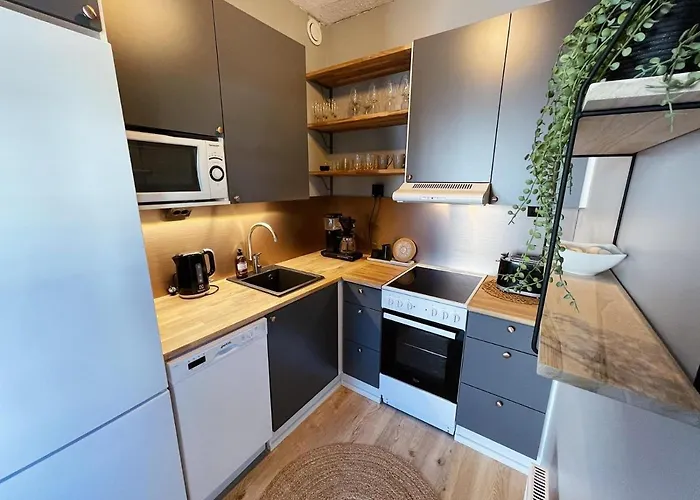 Sanctus Nicolaus With Sauna Rovaniemi