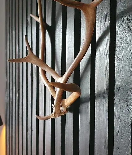 Sanctus Nicolaus With Sauna Appartement Rovaniemi